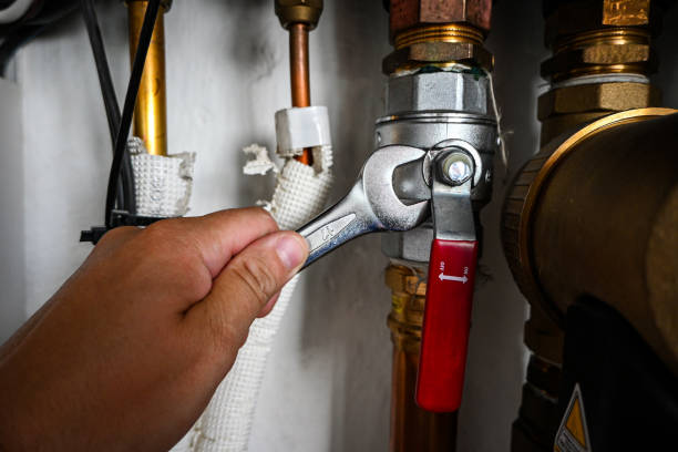 Best Plumbing Inspection Services  in Ridgebury, CT